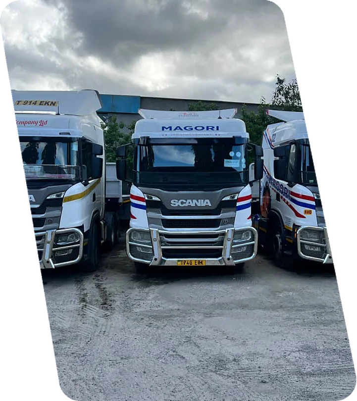 Three Magori Logistics Scania trucks head-on