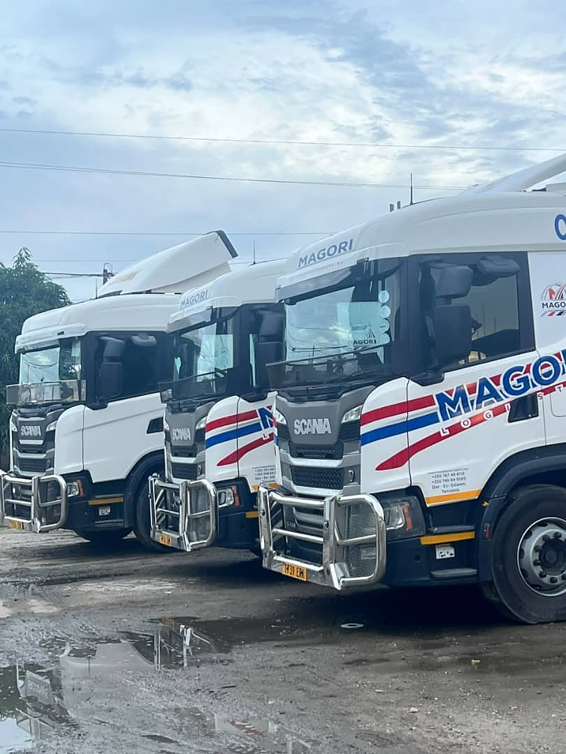 Magori Logistics trucks in the yard on an overcast morning